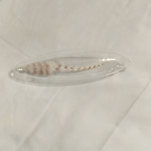 Roost feather in glass